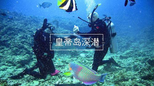 逃离危险禁地