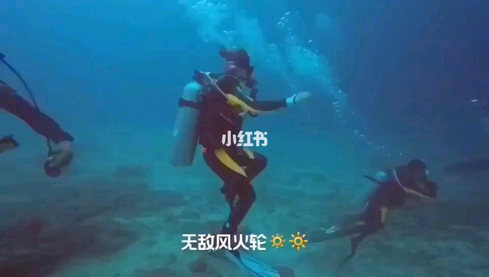 我市4家企业上榜省“先进”名单
